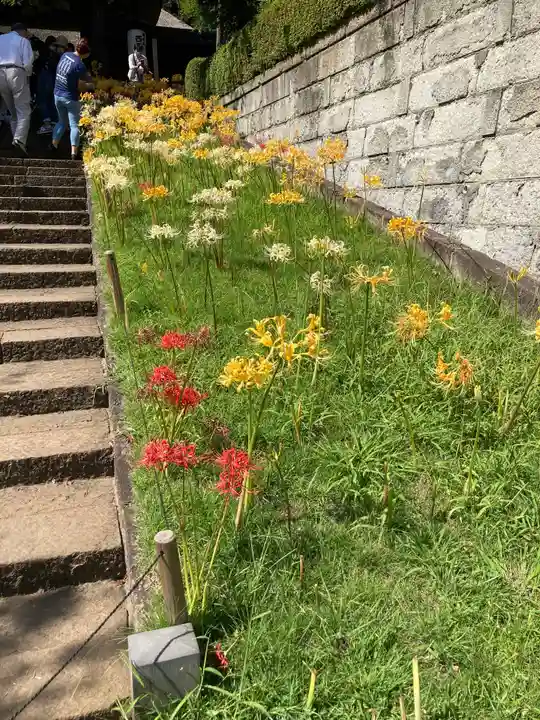 横浜 西方寺の自然