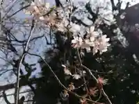 居木神社の自然