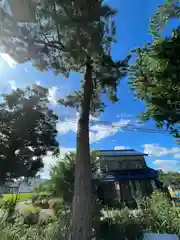 志那神社の自然