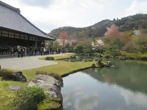 天龍寺の庭園