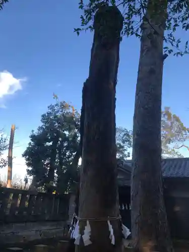 伊古乃速御玉比売神社の自然