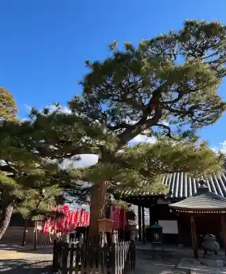 葛井寺の{uncategorized: "未分類", other: "その他", undefined: "問題あり", building: "その他建物", grave: "お墓", sacred_gate: "鳥居", guardian: "狛犬", statue: "像", buddha: "仏像", history: "歴史", nature: "自然", garden: "庭園", animal: "動物", pagoda: "塔", temizu: "手水舎", mountain_gate: "山門・神門", sanctuary: "本殿・本堂", subordinate: "末社・摂社", art: "芸術", scenery: "景色", jizo: "地蔵", ema: "絵馬", goshuin: "御朱印", omikuji: "おみくじ", items: "授与品その他", amulet: "お守り", goshuincho: "御朱印帳", eats: "食事", festival: "お祭り", votive_dance: "神楽", shichigosan: "七五三参", wedding: "結婚式", experience: "体験その他", initially: "初詣", around: "周辺", anti_infection: "感染症対策"}