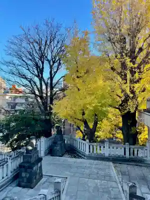 桐ヶ谷氷川神社(東京都)