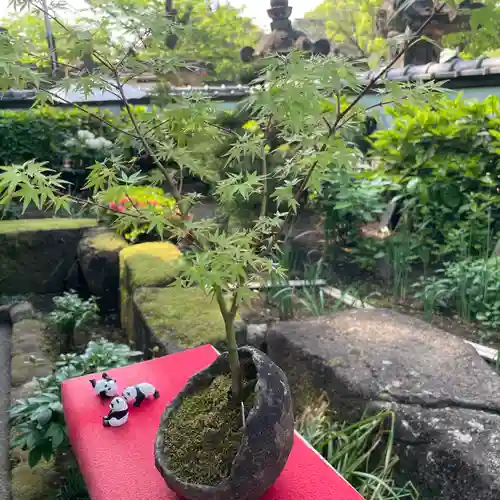 上野東照宮(東京都)