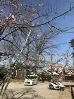 武蔵第六天神社のその他建物