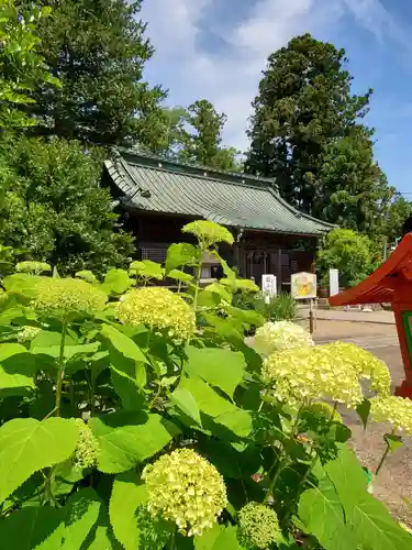 神炊館神社 ⁂奥州須賀川総鎮守⁂(福島県)
