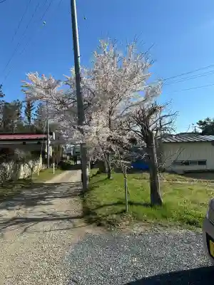羽生天神社の{uncategorized: "未分類", other: "その他", undefined: "問題あり", building: "その他建物", grave: "お墓", sacred_gate: "鳥居", guardian: "狛犬", statue: "像", buddha: "仏像", history: "歴史", nature: "自然", garden: "庭園", animal: "動物", pagoda: "塔", temizu: "手水舎", mountain_gate: "山門・神門", sanctuary: "本殿・本堂", subordinate: "末社・摂社", art: "芸術", scenery: "景色", jizo: "地蔵", ema: "絵馬", goshuin: "御朱印", omikuji: "おみくじ", items: "授与品その他", amulet: "お守り", goshuincho: "御朱印帳", eats: "食事", festival: "お祭り", votive_dance: "神楽", shichigosan: "七五三参", wedding: "結婚式", experience: "体験その他", initially: "初詣", around: "周辺", anti_infection: "感染症対策"}