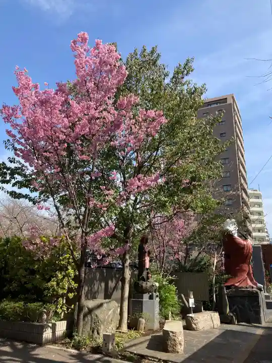 浄心寺(東京都)