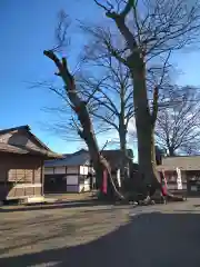 八枝神社の建物その他