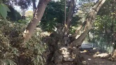 稲荷神社（さくら坂）のその他建物