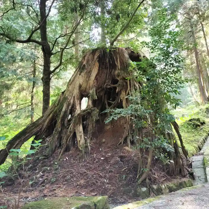 最乗寺(道了尊)(神奈川県)