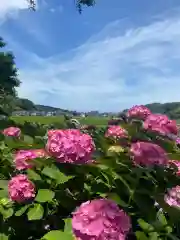 本興寺(石川県)