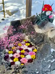 伊達神社の手水舎(2021年12月31日(金) 12時41分59秒投稿)