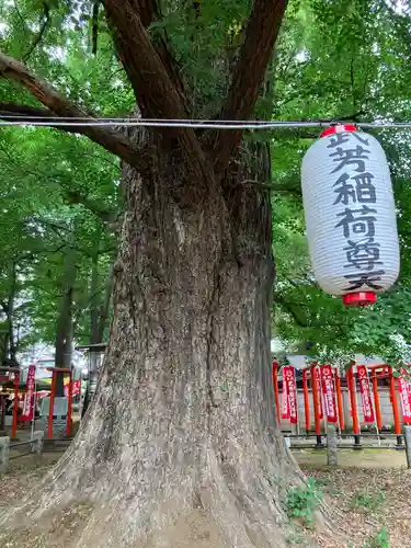 鬼子母神堂　(法明寺）(東京都)