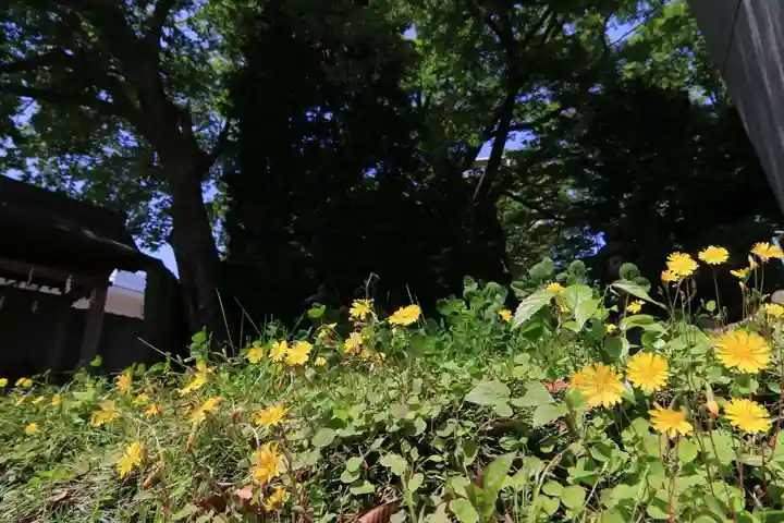 愛宕神社の自然