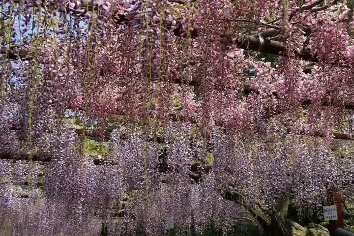 和氣神社(和気神社)(岡山県)