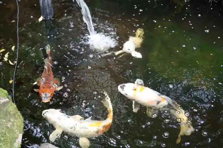 秩父御嶽神社(埼玉県)