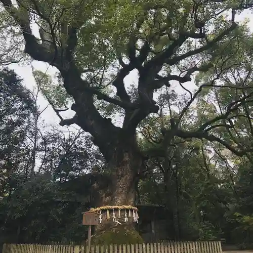 熱田神宮の自然