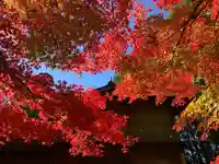 滑川神社 - 仕事と子どもの守り神の自然