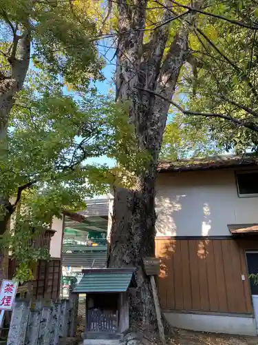 御霊神社(京都府)