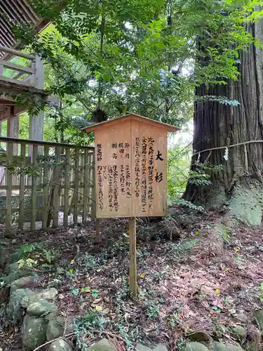 須佐神社の自然