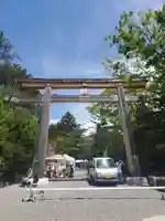 長野縣護國神社の鳥居