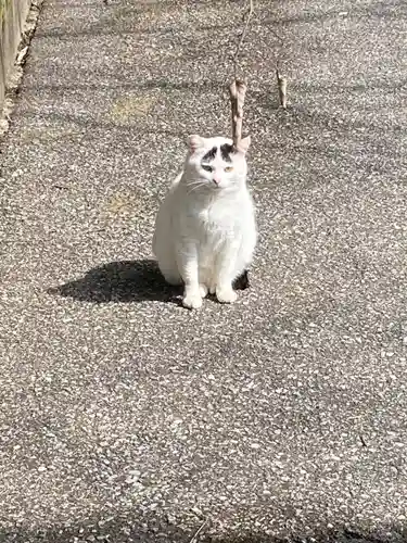 唐澤山神社(栃木県)