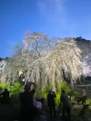 本佛寺別院　法華原の自然