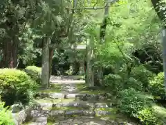 修禅寺　奥の院(静岡県)