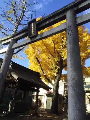 志演尊空神社の鳥居