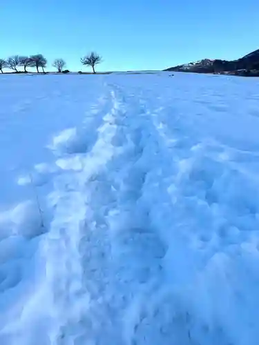 山家神社奥宮の自然
