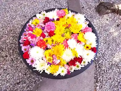 埼玉厄除け開運大師・龍泉寺（切り絵御朱印発祥の寺）(埼玉県)