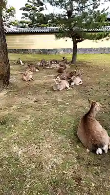 東大寺 二月堂(奈良県)