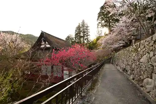 談山神社(奈良県)