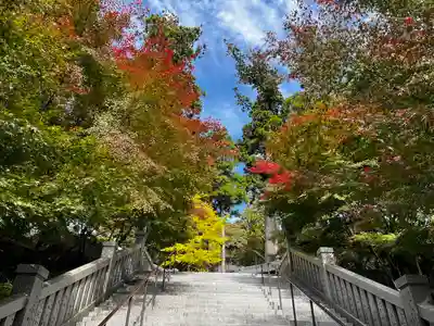 尊永寺(静岡県)