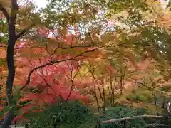 北野天満宮(京都府)