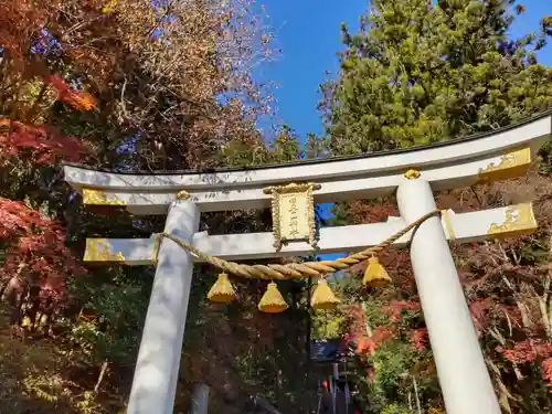 宝登山神社の鳥居