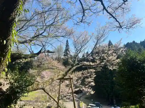 仏隆寺の{uncategorized: "未分類", other: "その他", undefined: "問題あり", building: "その他建物", grave: "お墓", sacred_gate: "鳥居", guardian: "狛犬", statue: "像", buddha: "仏像", history: "歴史", nature: "自然", garden: "庭園", animal: "動物", pagoda: "塔", temizu: "手水舎", mountain_gate: "山門・神門", sanctuary: "本殿・本堂", subordinate: "末社・摂社", art: "芸術", scenery: "景色", jizo: "地蔵", ema: "絵馬", goshuin: "御朱印", omikuji: "おみくじ", items: "授与品その他", amulet: "お守り", goshuincho: "御朱印帳", eats: "食事", festival: "お祭り", votive_dance: "神楽", shichigosan: "七五三参", wedding: "結婚式", experience: "体験その他", initially: "初詣", around: "周辺", anti_infection: "感染症対策"}