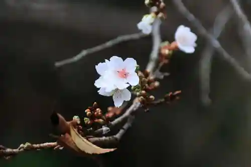 鹿島大神宮の庭園