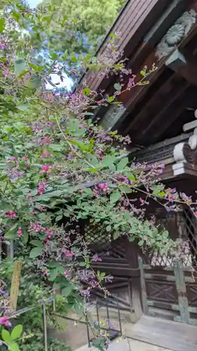 梨木神社(京都府)