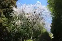 大六天麻王神社の庭園