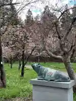 矢不来天満宮の狛犬