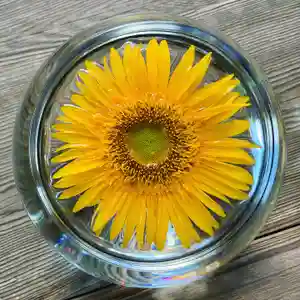 滑川神社 - 仕事と子どもの守り神のその他建物(2021年08月04日(水) 15時32分37秒投稿)