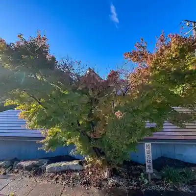 伊勢の国 四天王寺(三重県)