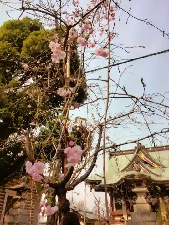諏訪神社(東京都)