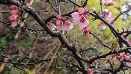 正法寺(京都府)