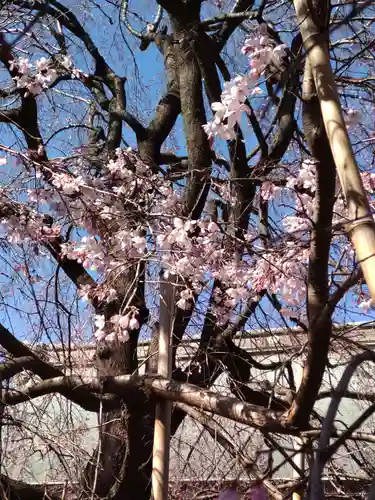 南養寺の庭園