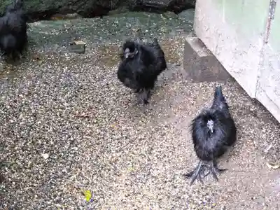 石上神宮(奈良県)