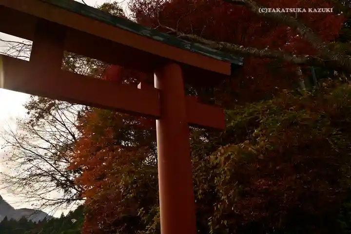 武蔵御嶽神社の鳥居
