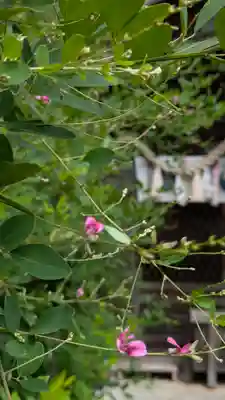 梨木神社(京都府)